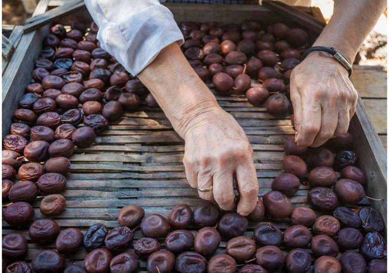 Prunia-plum-liqueur-production